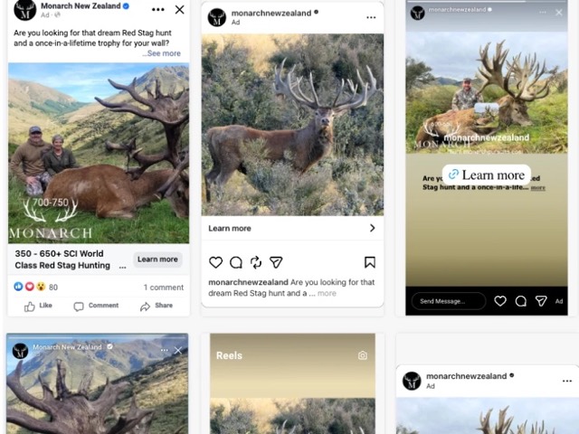 Meta ads for Monarch, a New Zealand red stag hunting outfitter, in Facebook and Instagram feed, story and reel formats
